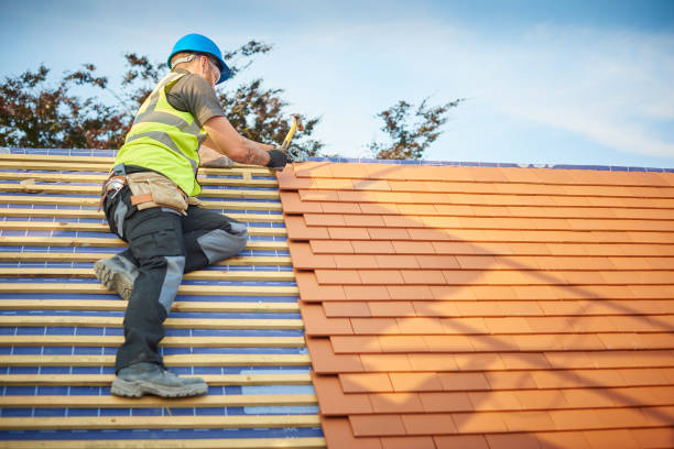 Best Roof Moss and Algae Removal  in Jackson Center, OH